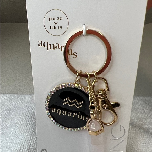 Icing Aquarius Keychain with Black and Gold Accents - Picture 5 of 5
